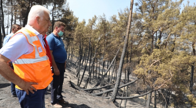 Başkan Gürün, Yangın Bölgelerinde İncelemelerini Sürdürüyor