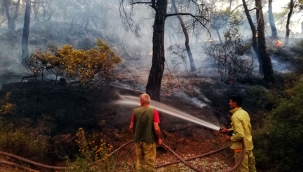 Büyükşehir yangına dirençli yeşil örtü için "orman seferberliği" başlatıyor