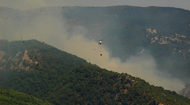 Kazdağları'nda Orman yangını Devam ediyor