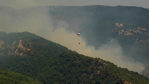 Kazdağları'nda Orman yangını Devam ediyor