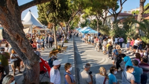 Dikili'de Sardalya Şenliği Sona Erdi