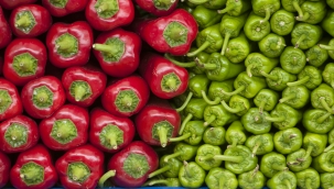 İzmir ve Antalya'dan Rusya'ya domates ve biber ihracatındaki yasak kaldırıldı