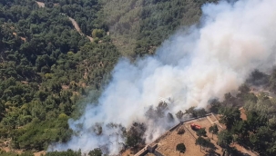 Karşıyaka'da orman yangını
