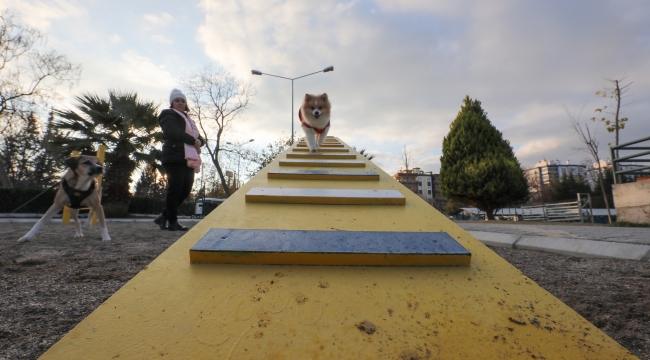 Gaziemir'de köpeklere özel park açıldı