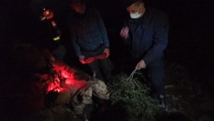 Kınık'da kayalık arazide mahsur kalan gebe keçi kurtarıldı