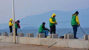 Aliağa'da At-Çek Heyecanı Başlıyor 