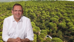 Kozak'ta Taşocağı İçin Verilen "Çed Olumlu" Kararı İptal Edildi…