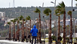 Meteorolojiden Aliağa İçin Fırtına ve Zirai Don Uyarısı