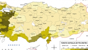 Yeniden Refah Partisi Genel Başkan Yardımcısı Aydal "Zeytin arazilerinin madenciliğe açılması kanuna aykırı"