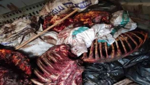 İzmir'de çürümeye yüz tutmuş at eti ele geçirildi