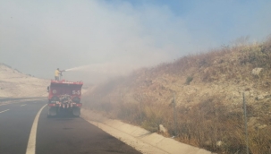 Aliağa'da otluk ve makilik alanda yangın