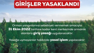 Aliağa'da 31 Ekim'e Kadar Ormanlık Alanlara Giriş Yasak