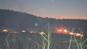 Aliağa'da Çıkan Yangın Ormanlık Alana Sıçramadan Kontrol Altına Alındı