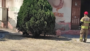 Aliağa'da Trafo yangını korkuttu