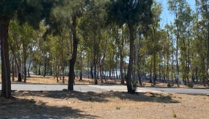 Aliağa  Kuş Cenneti yakınında korkutan yangın