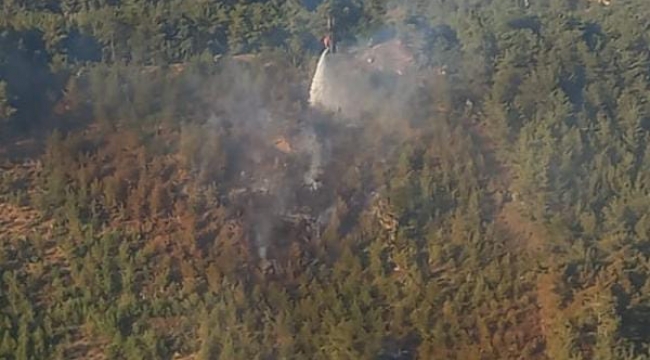 Bergama'daki orman yangını kontrol altına alındı
