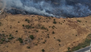 Dikili'de otluk alanda yangın