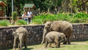Doğal Yaşam Parkı'na ziyaretçi akını