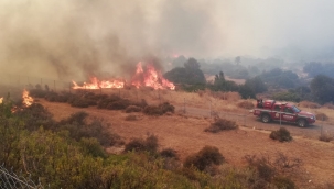 İzmir-Çeşme otoyolu yangın nedeniyle trafiğe kapandı