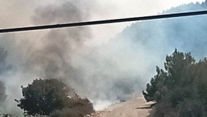 Aliağa'da Ormanlık alanda çıkan yangın kısa sürede söndürüldü