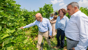 "Bu sahipsizliğe, düzensizliğe, vatandaşı terk etmişliğe İzmir'de biz rıza göstermiyoruz"