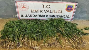 İzmir'in 9 ilçesinde uyuşturucu operasyonları: 26 gözaltı