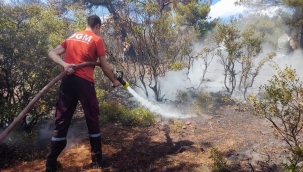 Bergama'da orman yangını