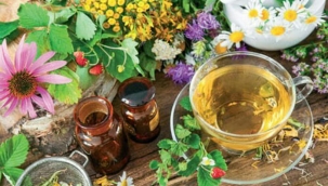 Bitki Çaylarının Faydaları Nelerdir? Hangi Bitki Çayı Neye Etkilidir?