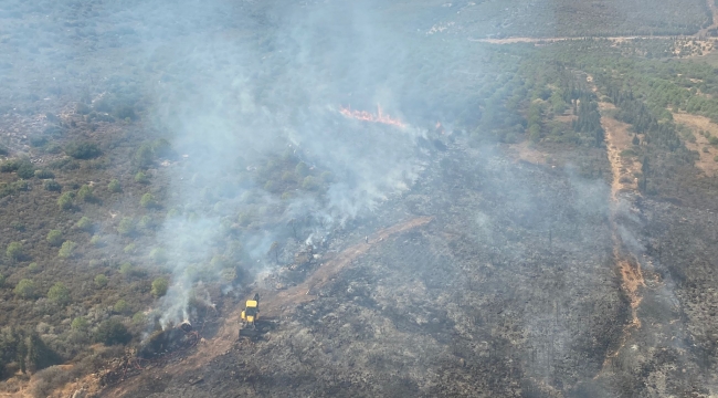 Foça'da makilik alandaki yangın söndürüldü