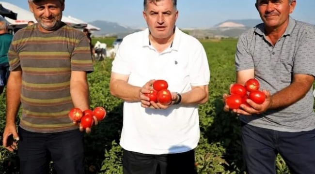 KINIK KURU DOMATESİ COĞRAFİ İŞARET ALDI
