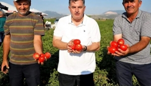 KINIK KURU DOMATESİ COĞRAFİ İŞARET ALDI