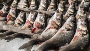Türkiye'nin su ürünleri ihracatının zirvesinde Muğla ve İzmir var