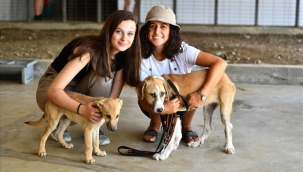 4 Ekim Dünya Hayvanları Koruma Günü Pako'da kutlanacak