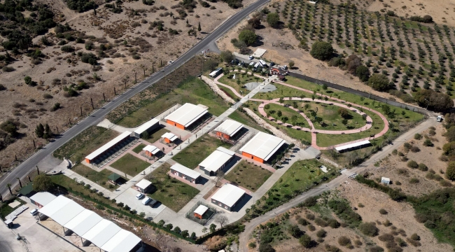 .Aliağalı Minikler Pati Park'ta Sevimli Dostlar İle Bir Araya Geldi