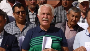 Bergama'da köylüyü isyan ettiren proje! 10 bin ağaç kesilecek