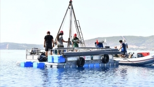 İzmir Körfezi'ndeki faylar mercek altında