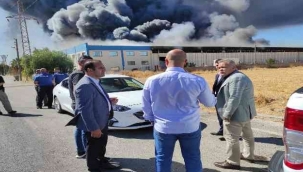 45 günde 40 milyon dolar yandı