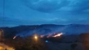 Bergama'da orman yangını kontrol altına alındı