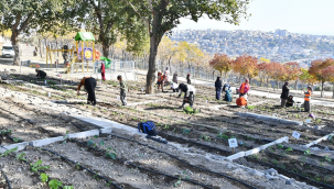 Mahalle Bostanı'nda kış sebzelerinin ekimi başladı