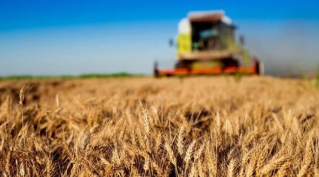 Bazı tarım ürünlerinin ihracatına ilişkin düzenleme 30 Haziran'a kadar uzatıldı