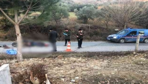 Elektrikli bisikletle kaza yapan kişi hayatını kaybetti