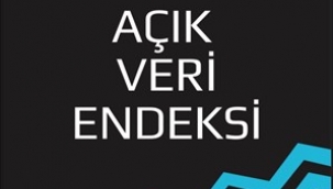 İzmir Büyükşehir Belediyesi'nin Açık Veri Portalı birinci oldu