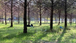 İzmir'de bir genç ormanlık alanda ölü bulundu