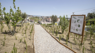 İzmir'e bir yılda 10 Buca Cezaevi kadar yeşil alan