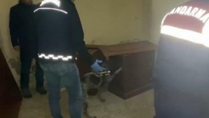 İzmir Selçuk'ta "Kökünü Kurutma Operasyonu"