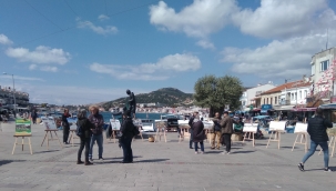 Doğa Katliamı Fotoğraflarda