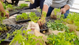 Seferihisar'da Tohumlar Bahar Bayramında Umuda Yeşerdi!