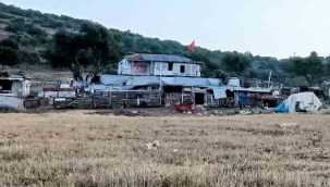 Bergama'da çiftlik evinde korkunç cinayet