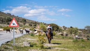 Çoban Start-up desteğiyle gençler üretime dönüyor