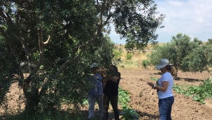 İlçe Tarım Müdürlüğü Ekipler kontrollerini devam ediyor. 